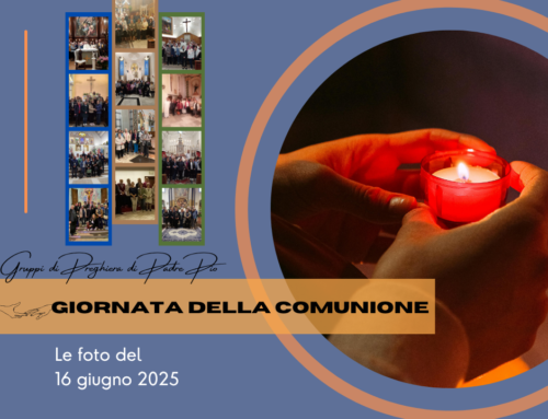 Le foto della Giornata della Comunione 2025