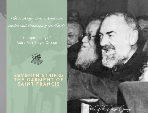 Seventh String: The Garment of Saint Francis