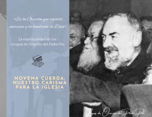 Novena Cuerda: Nuestro carisma para la Iglesia