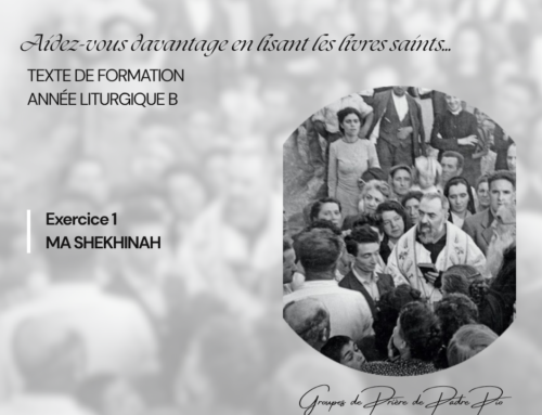 Exercice 1: Ma Shekinah
